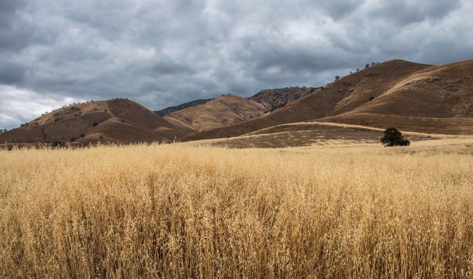 California Landscape